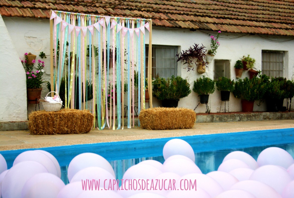 baby shower 29